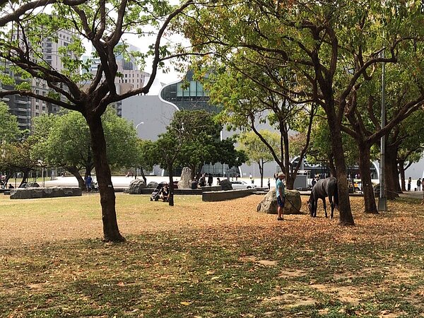 台中市政府21日發現有民眾在西屯區夏綠地公園溜馬，第一時間立刻派員依法勸離。圖／台中市政府提供