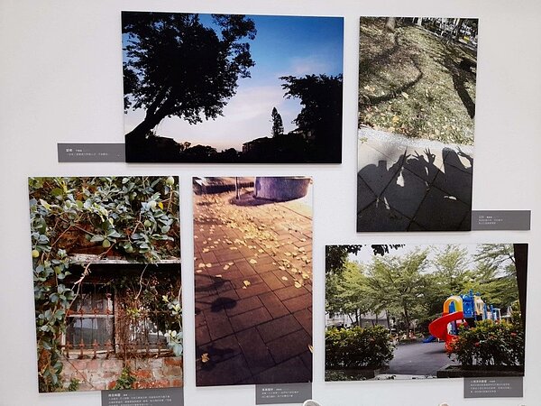 精忠里里民拍攝，民生社區里內最美的一瞥/黃作炎攝