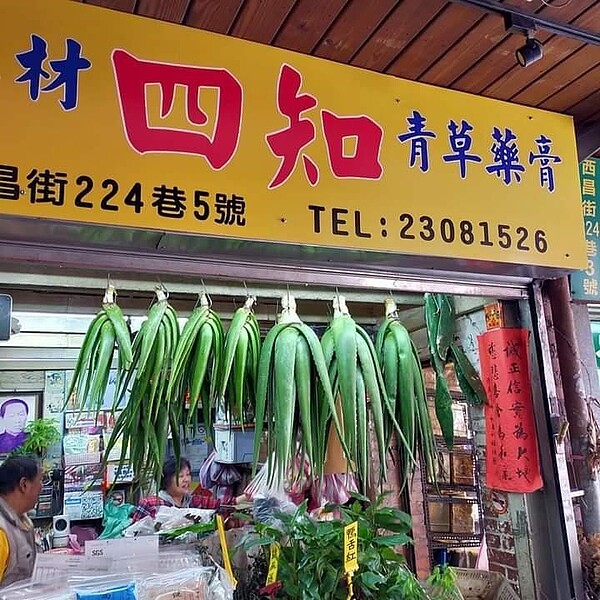 青草店廊前掛著肥厚的蘆薈，清涼退火。圖／高鳳珠攝