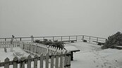 玉山降下「三月雪」　目前積雪1公分