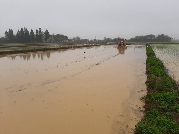農水署桃3灌區91％已經完成插秧。圖／北區水資源局提供