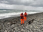 黃金72小時已過　搜救飛官行動未停