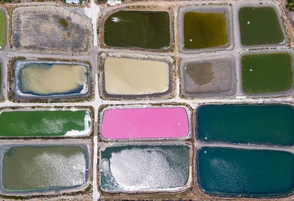 攝影師鈴木二郎用空拍機捕捉嘉義縣布袋鎮養殖池池水不同樣貌及色彩。圖／鈴木二郎提供
