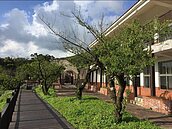 你知道茶怎麼做的嗎？來茶山製茶體驗營就知道