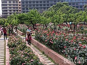 未來一周降雨不多　專家：下一波較多降雨鋒面在下周四