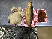 清明祭祖三牲除草插香有眉角　做對旺家運