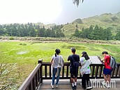 久旱不雨　陽明山夢幻湖接近乾涸