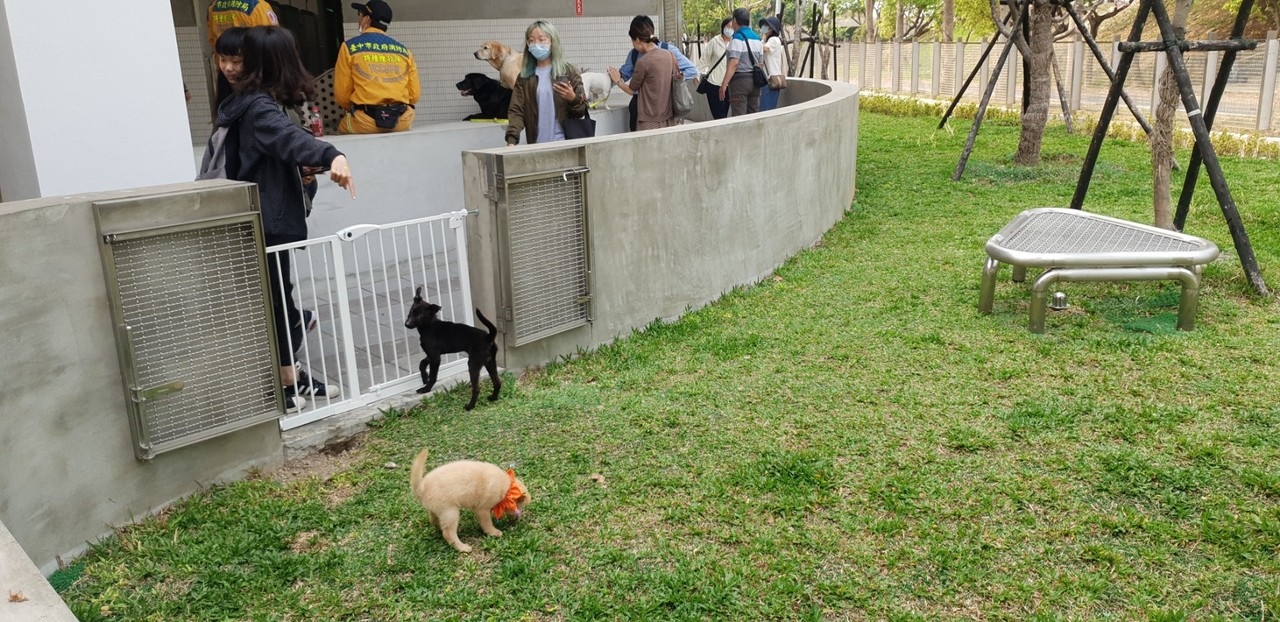 台中市動物之家后里園區改建開幕，園區內有訓犬師，每天帶狗訓練可更親近人。記者游振昇／攝影