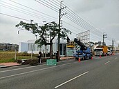 修剪路樹被嫌剪過頭　台南工務局：憂雨季肇禍