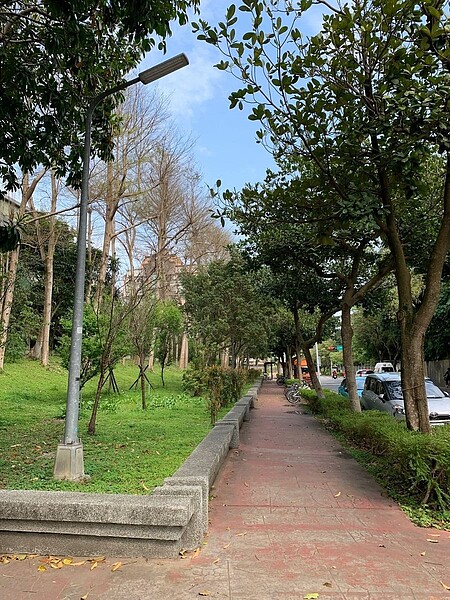 內湖區紫雲里周遭都有許多樹木,綠意盎然。圖/郭思妏攝
