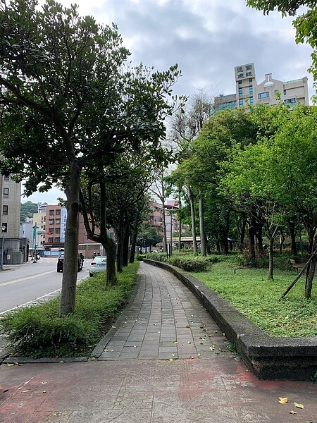 里內雖然沒有公園，但道路上都圍繞著樹木，走在路上相當清爽。圖／郭思妏攝