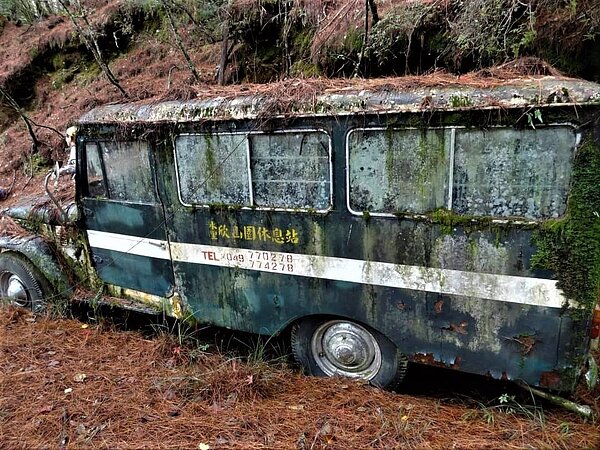 南投縣信義鄉郡大林道的廢棄公車近期暴紅，骨董車商爭相想向車主收購。圖／讀者提供