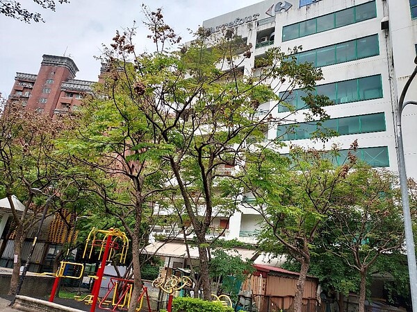 公園高低有層次,增添整片綠景的都會感。圖/陳忠賢攝影