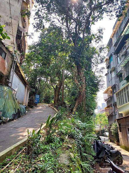獅頭山一日遊,盡攬大新店風光。圖/記者江靜芝攝影