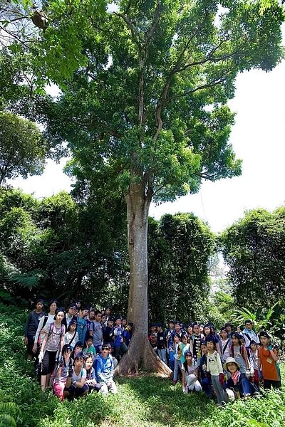 和美山可俯瞰碧潭的水光蕩漾，生態豐富。圖／記者曾慎昭攝影
