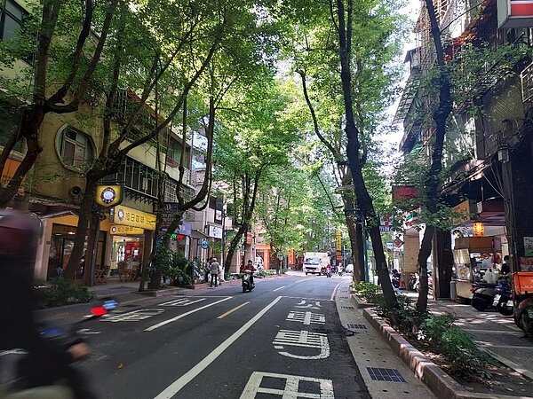 調查局種植巨大路樹，護持中華路。圖／記者姜靜枝攝影