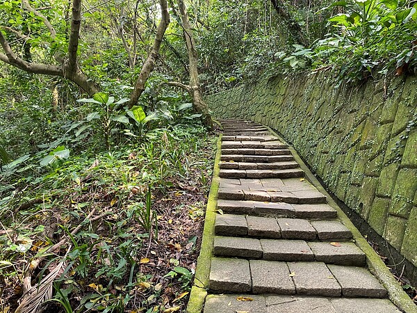 步道走起來輕鬆，適合登山新手（攝自李寶兒）