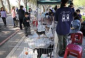認養貓狗先想好這5個問題　認養了雲林縣府就送嫁妝