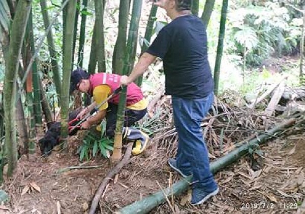 新北市多山區，常見動物遭山豬吊或捕獸鋏夾傷，新北市動保處接獲通報即刻進行救援。圖／新北市政府提供