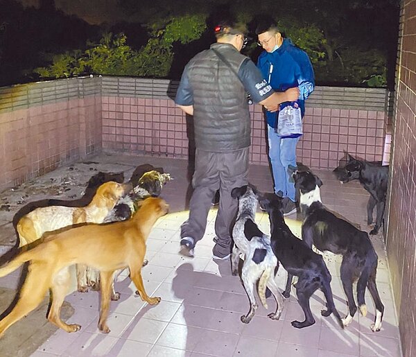 新竹市發生「狗吃狗」事件,一處廢墟房屋裡有7隻狗,無人餵食和看管,骨瘦如柴。(邵柏虎提供/羅浚濱新竹傳真)