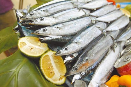 農委會指出，按照洋流來看，西北太平洋海域捕撈的秋刀魚因為最為接近日本，是檢測重點。圖為秋刀魚。圖／中時資料照片