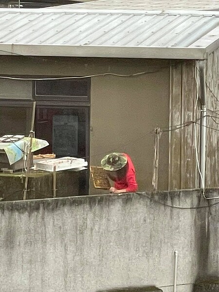 信義區驚見民眾在頂樓養蜂。圖/取自臉書社團《信義三兩事》