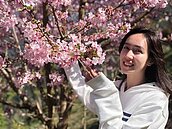 家在石門水庫湖中央　小薰驚見旱象慘嘆：回家好難