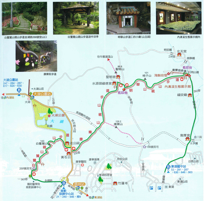 內溝溪復育豐富生態圈。圖/台北市政府提供