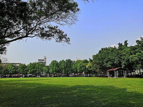 榮星花園有大草坪供民眾活動。圖/吳佳燕攝
