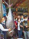 蘇澳第一鮪拍出　每公斤8300元