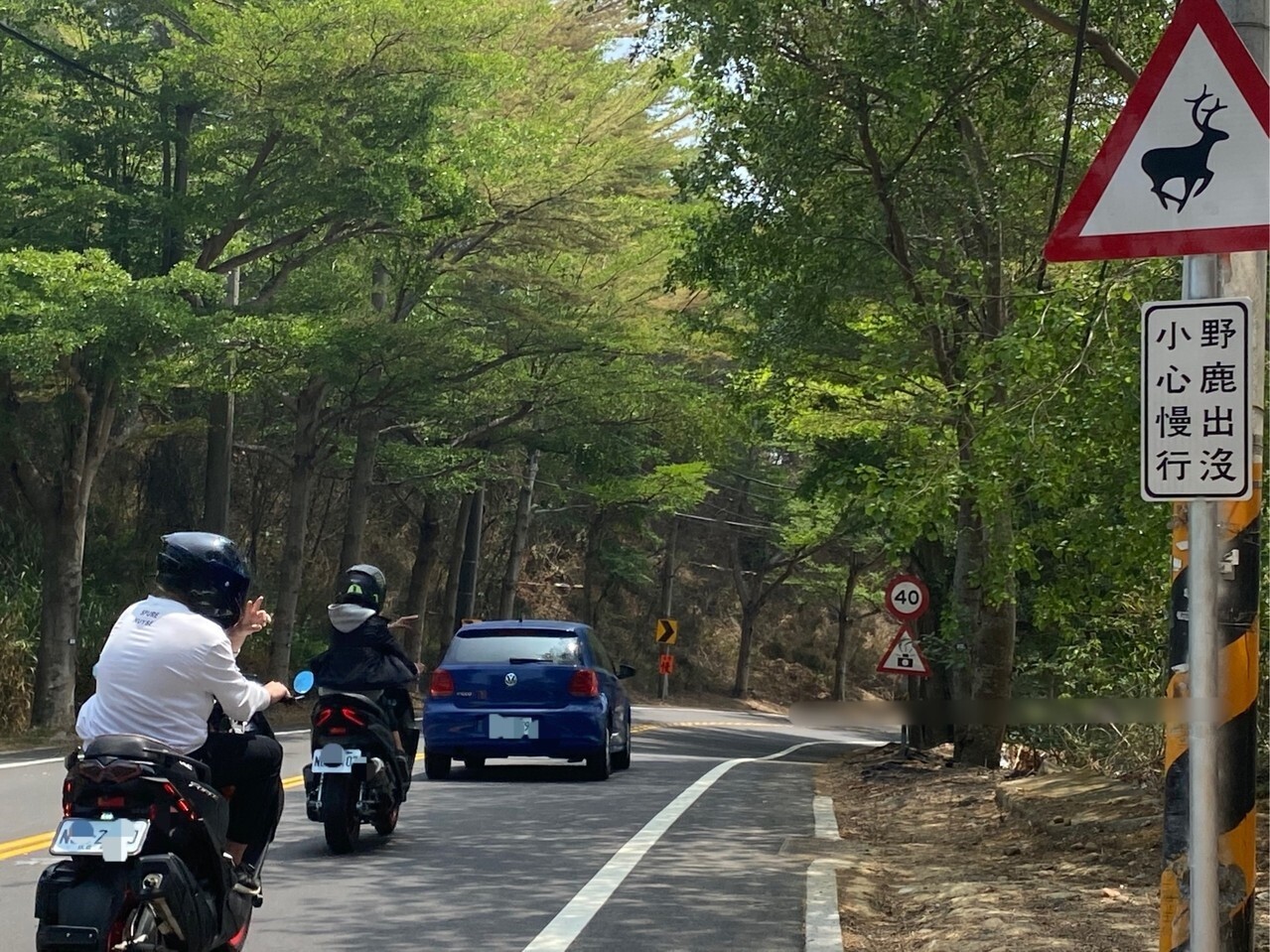 彰化八卦山139線出現水鹿蹤跡，縣府工務處最近在水鹿常出沒路段設置「野鹿出沒，小心慢行」警告標識，提醒用路人小心駕駛。記者劉明岩／攝影