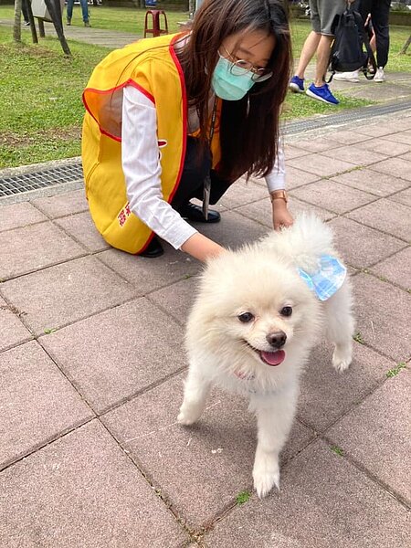 重陽里舉辦毛寶貝疫起來活動。圖／南港樂生活 X 有你有我提供