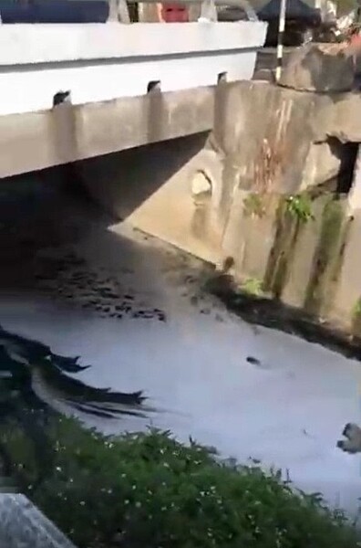 民眾陳情神岡、大雅交界河流出現泡沫廢水。圖/台中市環保局提供