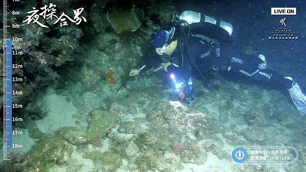 為迎接墾丁珊瑚產卵年度盛事,墾管處珊瑚保育周邀潛水業者淨海、辦攝影展外,今年首度和國立海生館、聯合新聞網合辦珊瑚產卵影像線上直播。圖/墾管處提供