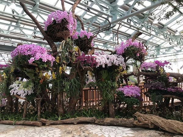 台中世界蘭展4/24雲端綻放。圖/台中市府提供