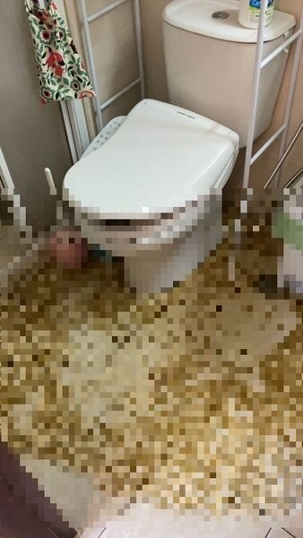 排泄物溢滿整個浴室。圖／翻攝自Dcard