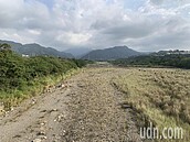 宛如非洲大草原　新竹頭前溪上游河水乾涸、水庫快見底