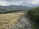 新竹抗旱再升級　水利署將在頭前溪沿岸鑿22口水井