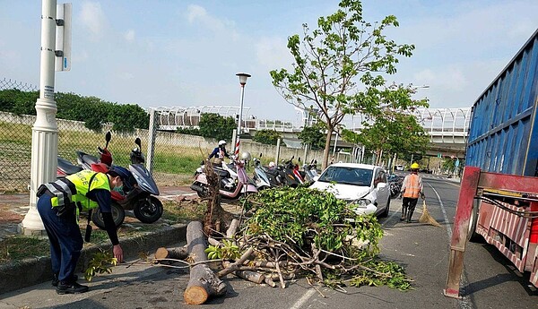 高雄市前鎮區日前曾發生行道樹傾倒壓傷路旁車輛意外，幸未造成人受傷。記者王慧瑛／翻攝