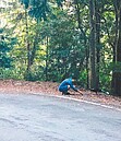 台中山友饅頭屑誘藍腹鷴　遭罰1.5萬