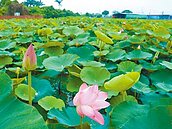終於下雨了　白河水庫0進帳
