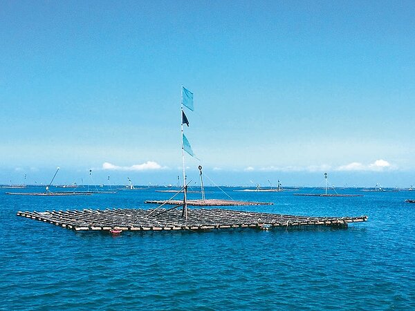 嘉義縣政府公告辦理浮筏式牡蠣養殖環保浮具獎勵補助。圖/嘉義縣府提供
