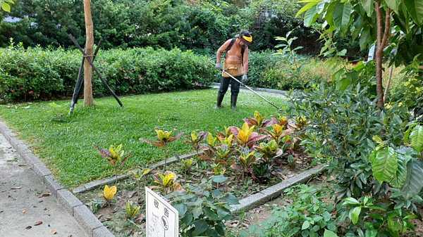 綠地認養。照片／由范燕淇里長提供