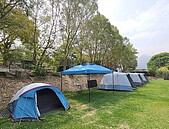 遊客銳減、法規受限　露營業嘆成紓困孤兒