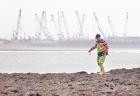 珍愛藻礁公投領銜人潘忠正於臉書表示,近日到大潭藻礁保護區看到中低潮位的礁體表面完全被汙泥覆蓋,小動物因此失去家園,他痛斥保育單位嚴重失職。(本報資料照片)