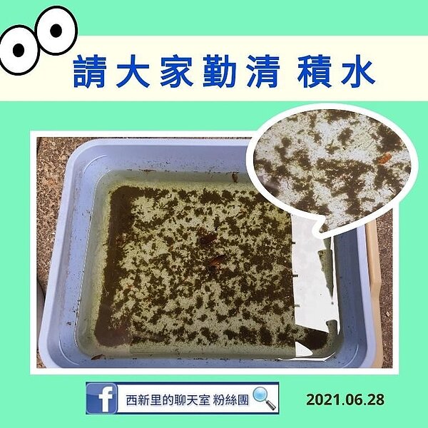 圖/取自西新里的聊天室(台北南港)臉書