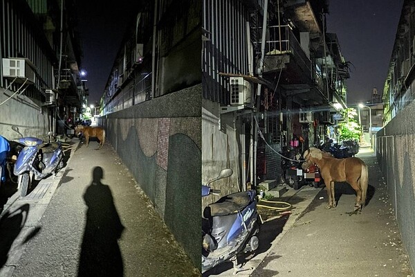 原PO半夜回家看到家門口有匹馬。圖／截自PTT