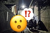 台北奇景！半夜驚見「鄰居」霸佔返家路　她傻眼：難道有隱藏任務？