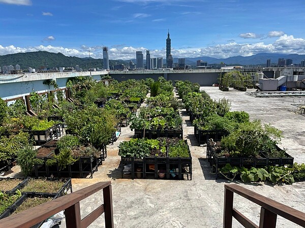 北市三民活動中心打造屋頂綠化菜園。圖／台北市政府提供