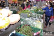 中南部產區受颱風影響不大　菜價8月豪雨以來首見3字頭